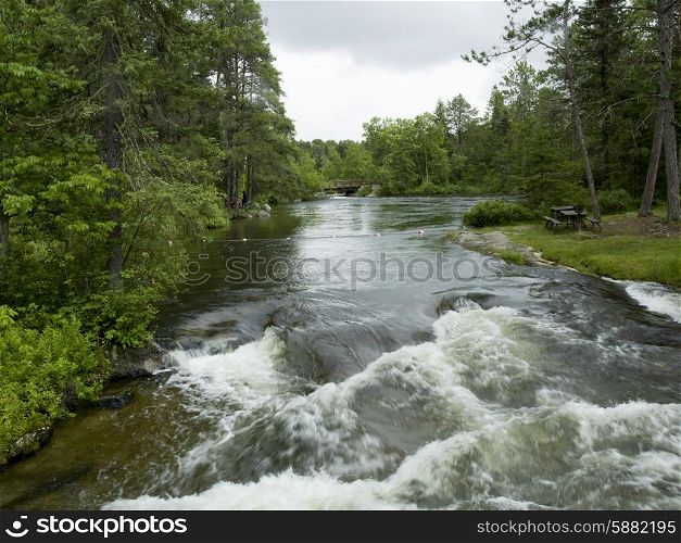 River flowing through a forest, Rushing River Provincial Park, Ontario, Canada