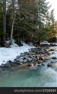 River flowing through a forest, Whistler, British Columbia, Canada