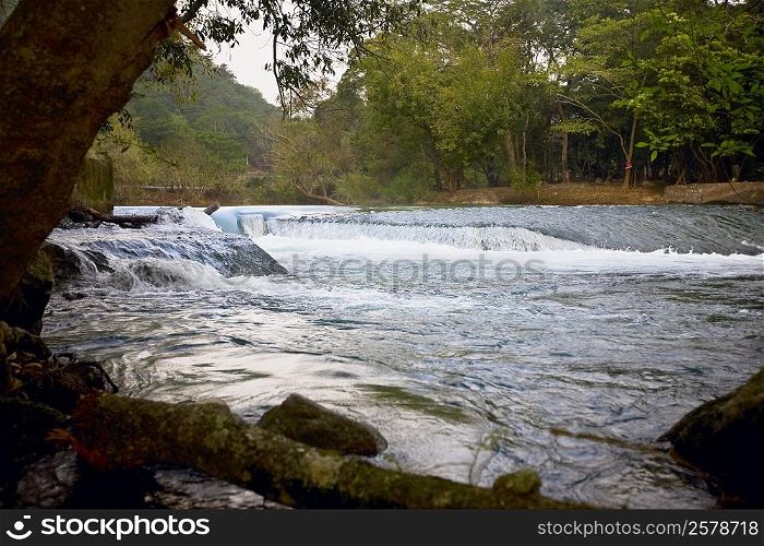 River flowing through forest, Waterfalls of the Monkeys, City Valleys, San Luis Potosi, Mexico