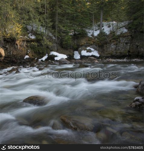 River flowing through forest, Whistler, British Columbia, Canada