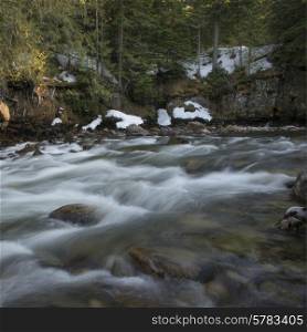 River flowing through forest, Whistler, British Columbia, Canada