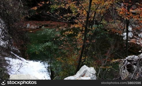 River in autumn, fallen leaves floating on the water.