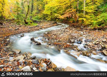 River in autumn forest with colorful trees and streaming water