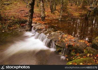 River in Autumn season at Geres National Park, Portugal