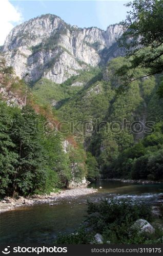 River in canyon Tara in Montenegro