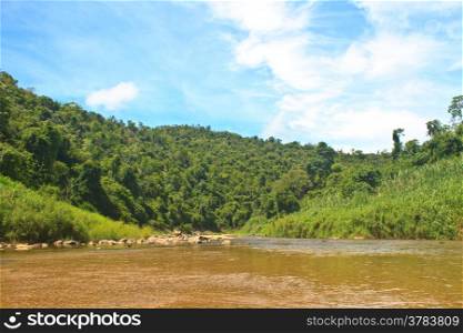 River in deep forest, river in evergreen forest in Thailand