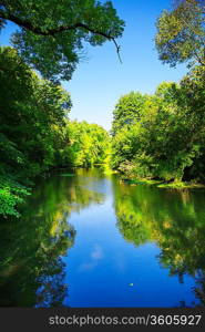 river in forest