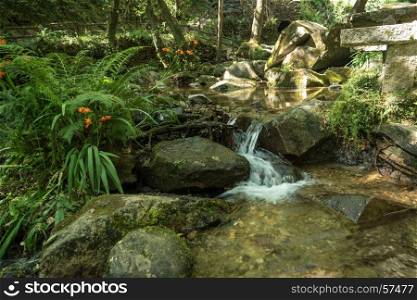 River in full flowing between the rocks and dense vegetation
