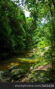 River in jungle rainforest, Khao Sok National Park, Thailand. River in jungle rainforest, Khao Sok, Thailand