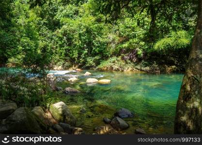 River in jungle rainforest, Khao Sok National Park, Thailand. River in jungle rainforest, Khao Sok, Thailand