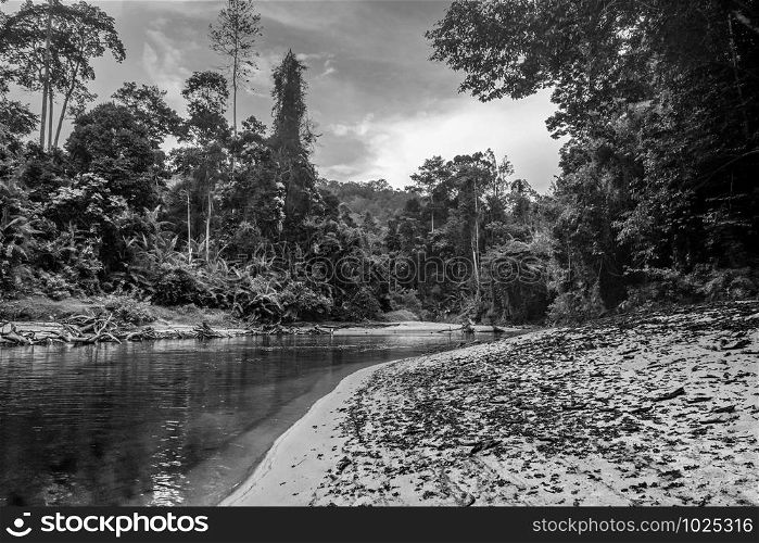 River in Jungle rainforest. Taman Negara national park, Malaysia. River in Jungle rainforest Taman Negara national park, Malaysia