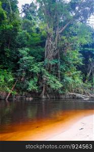 River in Jungle rainforest. Taman Negara national park, Malaysia. River in Jungle rainforest Taman Negara national park, Malaysia