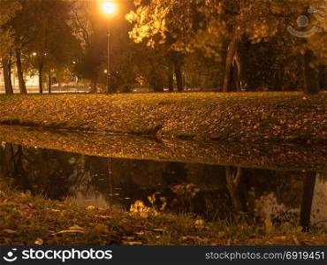 River in the city park illuminated by street lamps