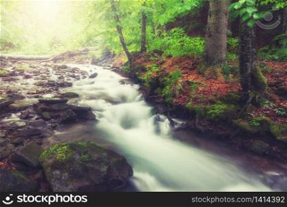 River in the forest. Green summer woodland and creek