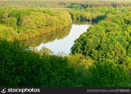 River in the green forest - top view