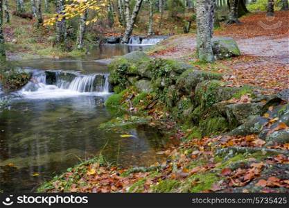 river in the portuguese national park of Geres, in the north of the country