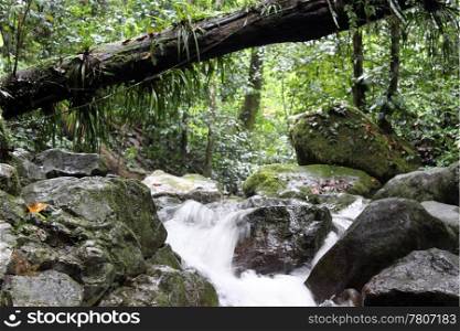 River in the rainforest in Kinabalu national park in Sabah, Borneo, Malaysia