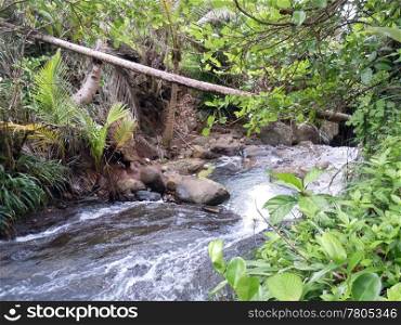 River in the rainforest on the caribean island Dominica