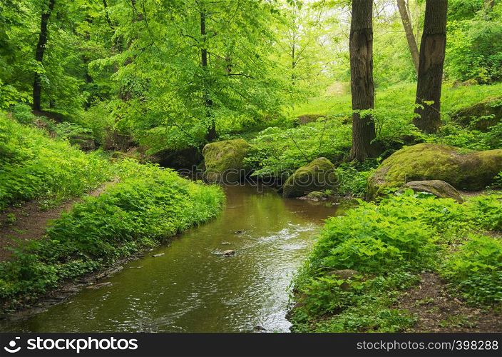 River in the wood