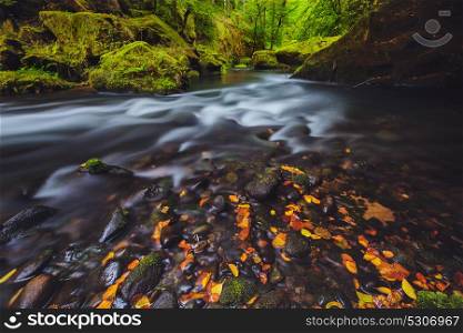 river Kamenice in autumn, Bohemian Switzerland. river Kamenice in autumn with long exposure, Bohemian Switzerland, Czech Republic