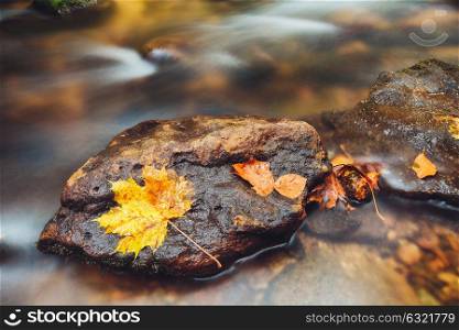 river Kamenice in autumn, Bohemian Switzerland. stone in river Kamenice in autumn with long exposure, Bohemian Switzerland, Czech Republic