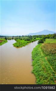 River landscape agricultural planting green corn field on riverside with view hill and mountain background