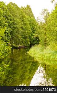River landscape in summer. Green trees forest on shore.. River landscape in summer