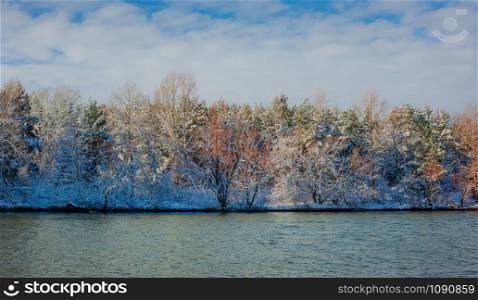River landscape in winter and tree branches covered with white frost. Winter landscape on a sunny day.. River landscape in winter and tree branches covered with white frost.