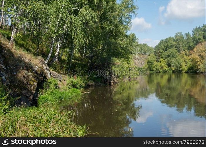 river overgrown with birch trees and shrubs. landscape