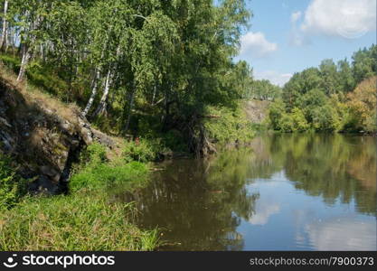 river overgrown with birch trees and shrubs. landscape