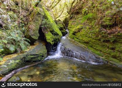 River running through the rainforest vegetation in Carrancas, Minas Gerais, Brazil with moss-covered rocks. River between rain forest with mossy rocks