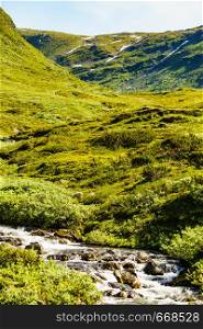 River stream in green summer mountains, Norway natue. River stream in mountains, Norway.