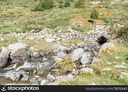 River surrounded by vegetation in Andorra La Vella