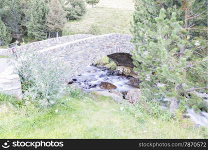 River surrounded by vegetation in Andorra La Vella