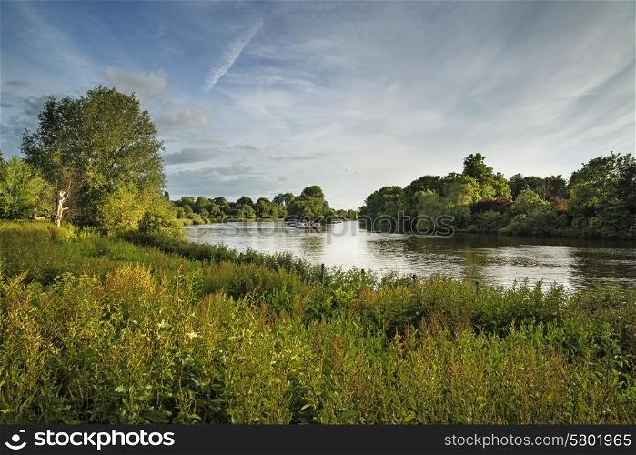River Thames from Richmond Hill in London on beautiful Summer day