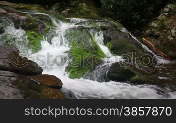 River water falling over mossy rocks in the Smokey Mountains
