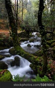 river waterfall in the portuguese national park