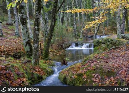 river waterfall in the portuguese national park of Geres, in the north of the country