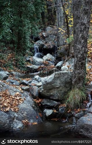 River with boulders in the forest in Troodos, Cyprus
