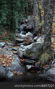 River with boulders in the forest in Troodos, Cyprus