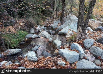 River with boulders in the forest in Troodos, Cyprus