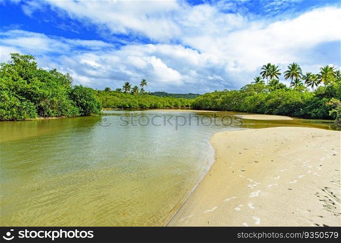 River with greenish waters flowing through the mangrove vegetation and rainforest in Serra Grande in the state of Bahia. River flowing through the mangrove vegetation and rainforest