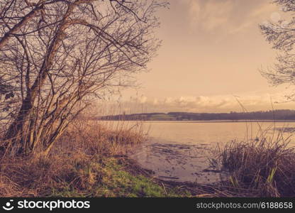 River with ice in the winter near a forest