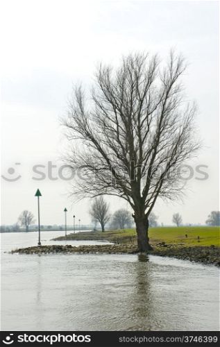 Riverbank with upstream river crib beacons and silhouette of tree in autumn scene