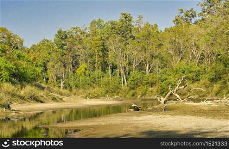Riverine Forest, Wetlands, Royal Bardia National Park, Bardiya National Park, Nepal, Asia