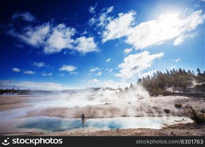 Riverside geyser in Yellowstone