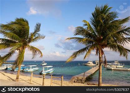 Riviera Maya beach coconut palm trees at Mayan Mexico