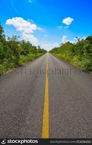 Riviera Maya jungle rainforest road of Mayan Mexico