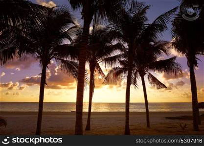 Riviera Maya sunrise beach palm trees at Mayan Mexico