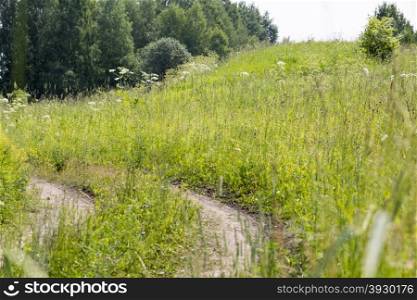 Road across forest meadow in summer day. Dirt road across forest meadow in summer day